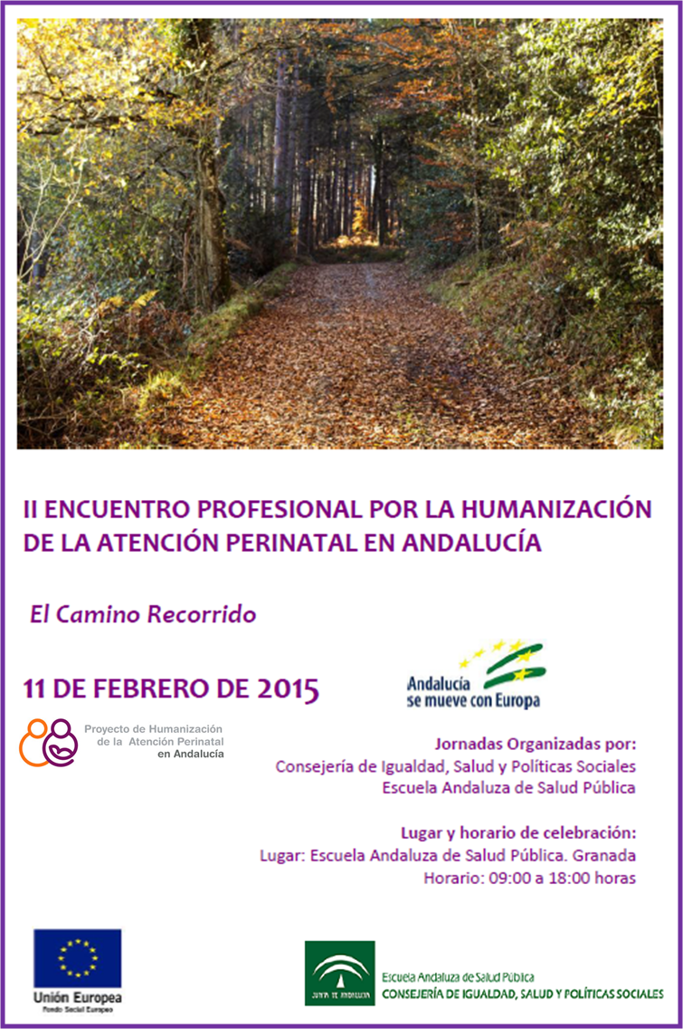 2015_Cartel II Encuentro PHAPA