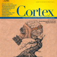 cortex