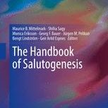 perspectivesonsalutogenesis