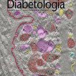 DiabetologiaJune
