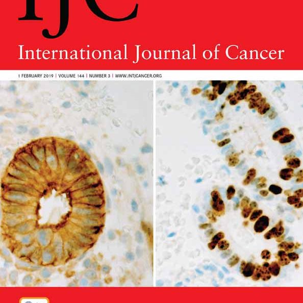 ijc.v144.3.cover