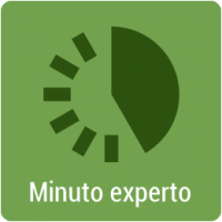 minutoExperto