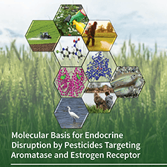 cover-ijerph-v17-i16