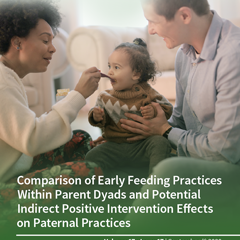 cover-ijerph-v17-i17