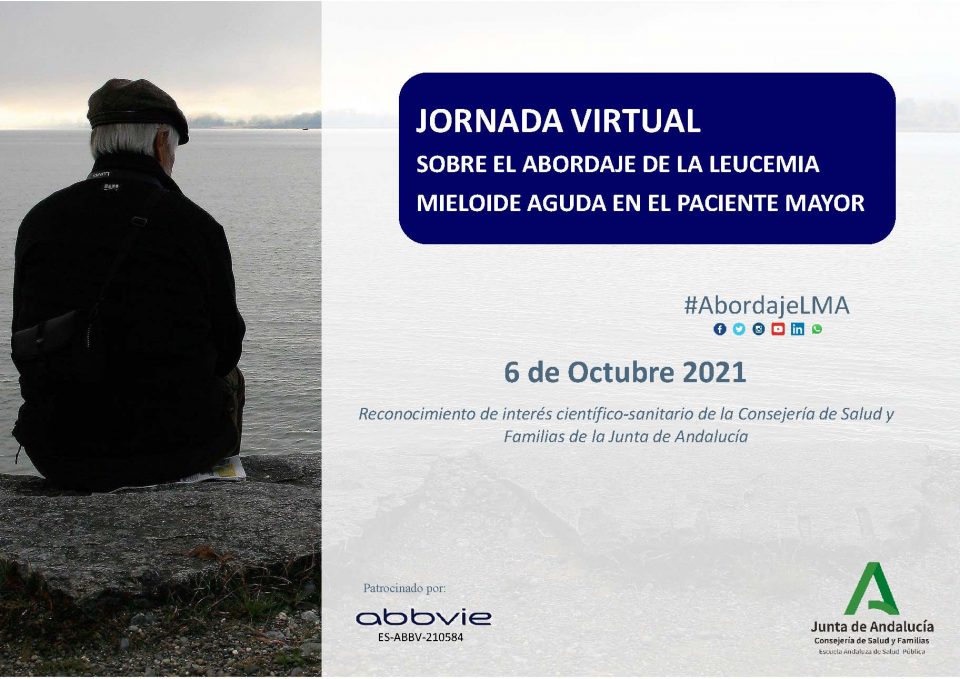 jornadaLeucemiacuadro3
