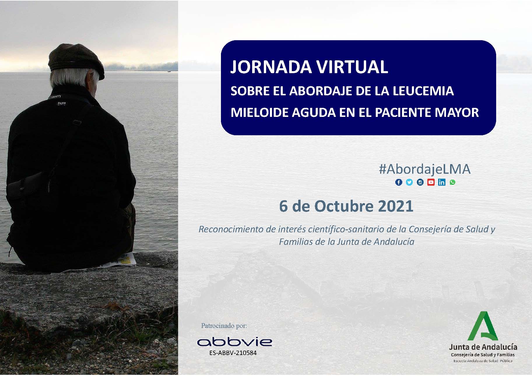 jornadaLeucemiacuadro3