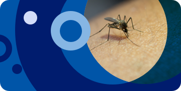 20_capacitacion_agentes_control_mosquitos