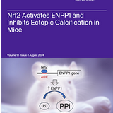 Captura de pantalla 2024-09-17 085632