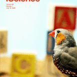 1-s2.0-S2589004225X00079-cov200h