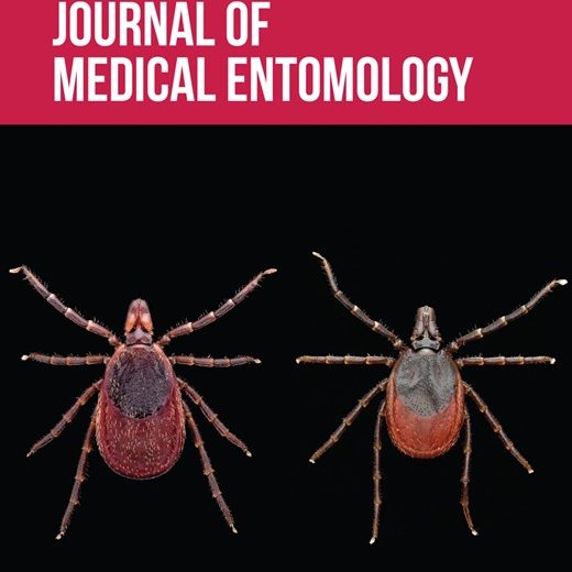 m_jmento_63_4cover